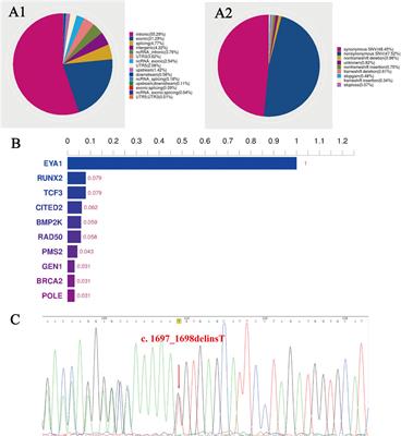 Case report: A novel mutation in the EYA1 gene in a child with branchiootic syndrome with secretory otitis media and bilateral vestibular hypofunction